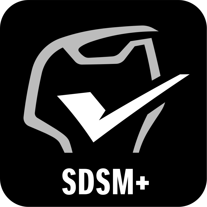 SDSM+