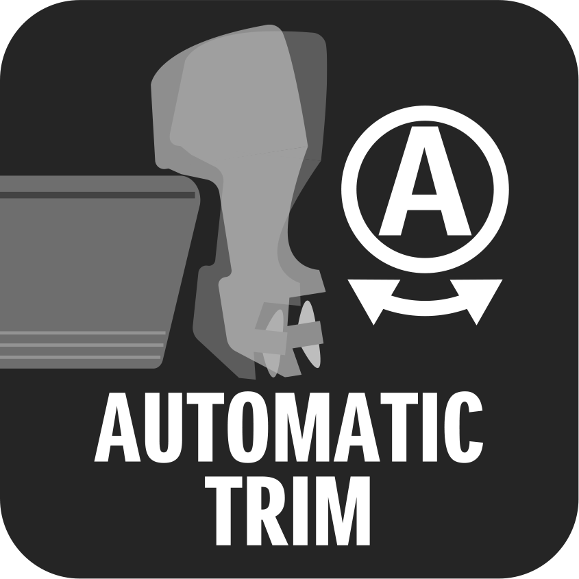 Automatic trim