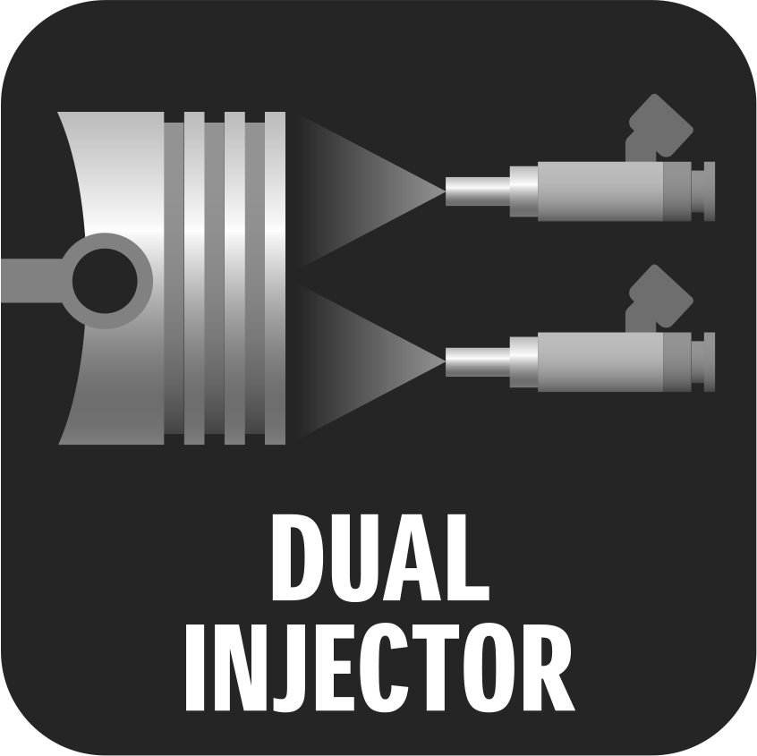 Dual injector